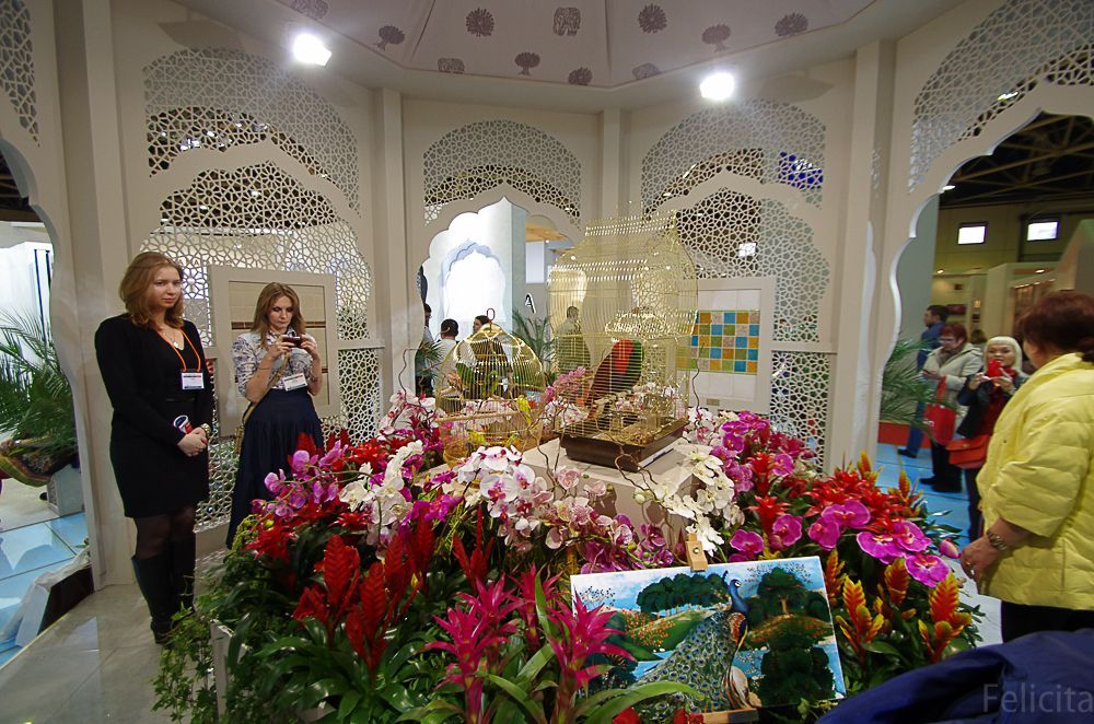 Керама марацци-2.jpg